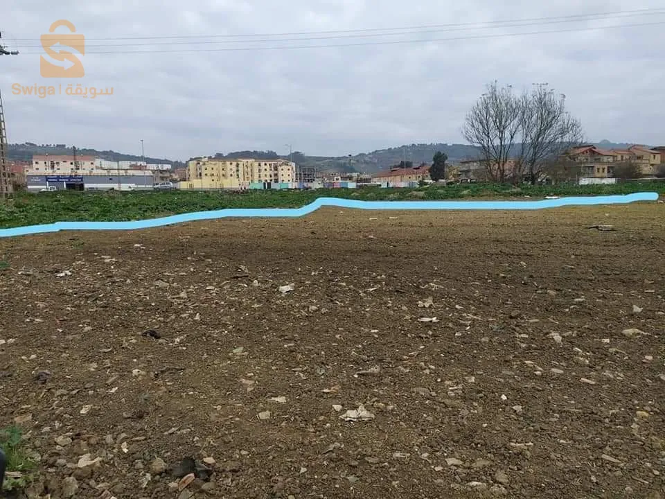 ارض فلاحية للبيع