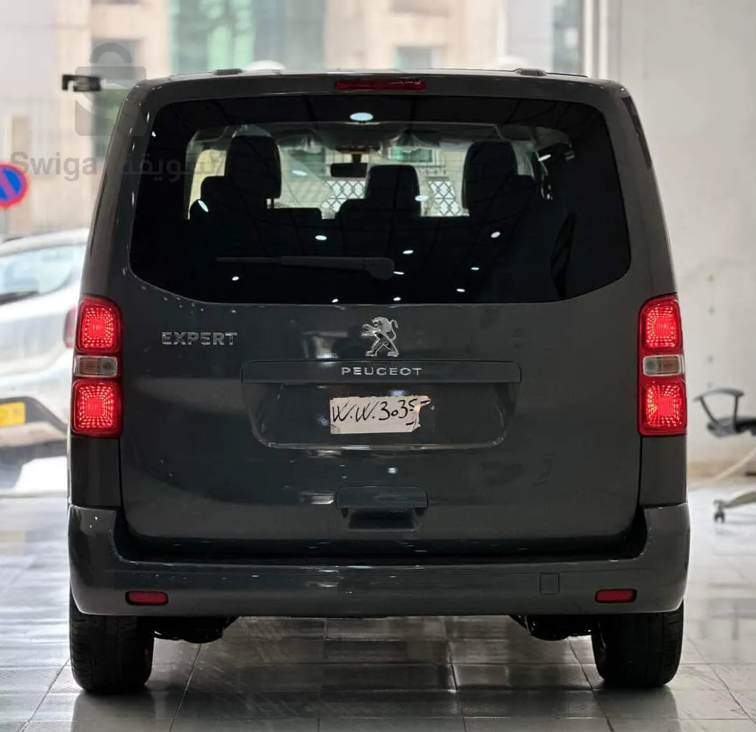 Peugeot Exper