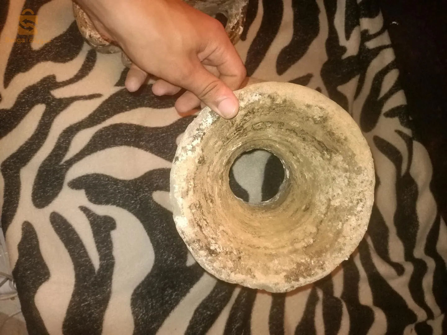 اثار رومانية قديمة