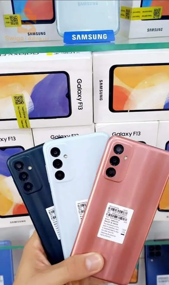 Galaxy F13