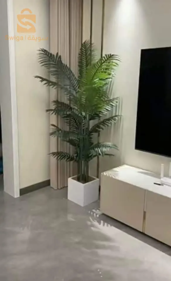 اشجار الزينة