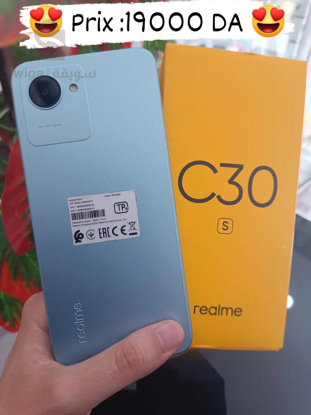 realme C30s