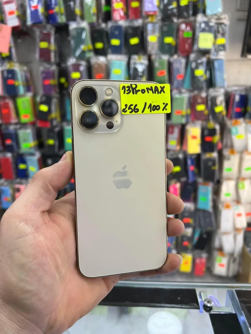 iPhone 13 Pro Max