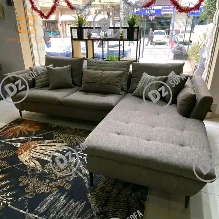 غرفة جلوس حديثة صالون