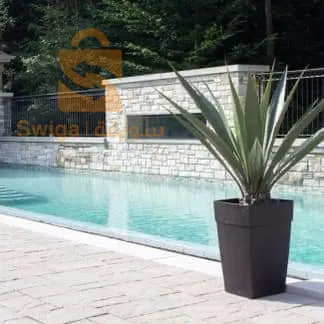 اشجار الزينة