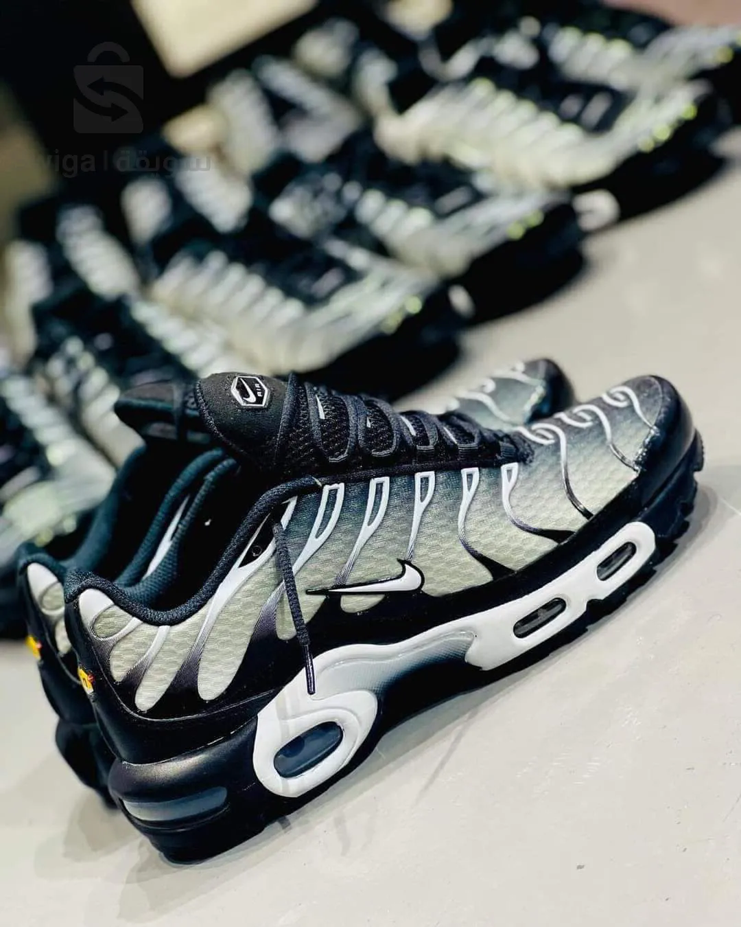 Tn basket