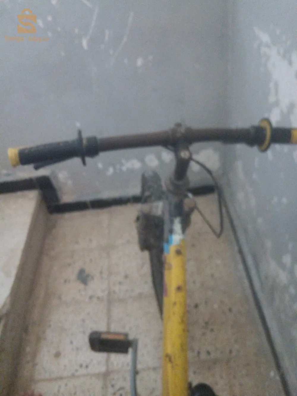 ولاية وهران  بلدية واد تليلات