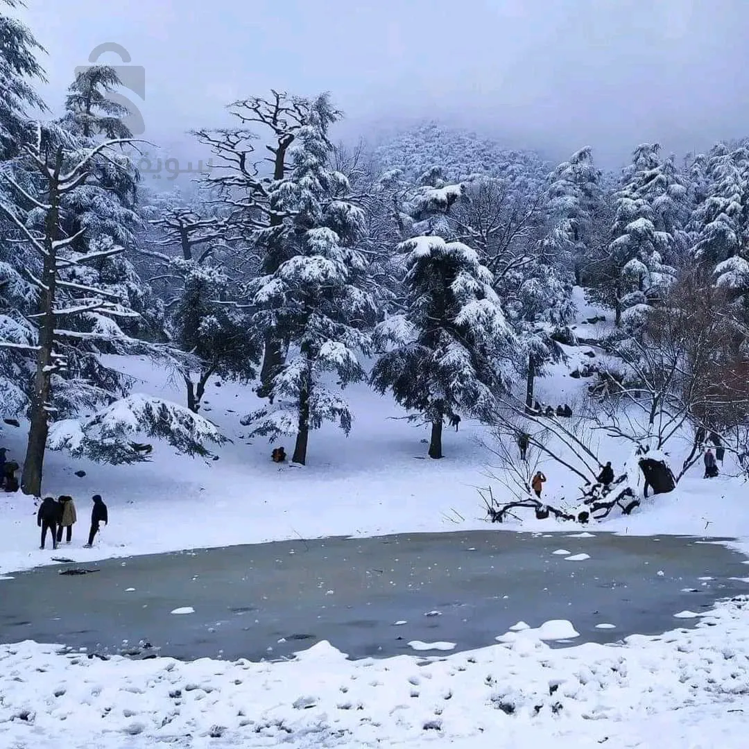 رحلة إلى تسمسيلت