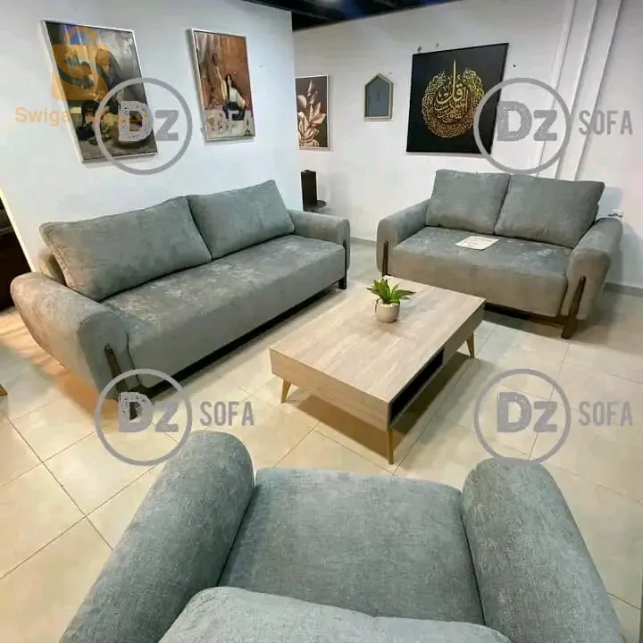 غرفة جلوس حديثة صالون