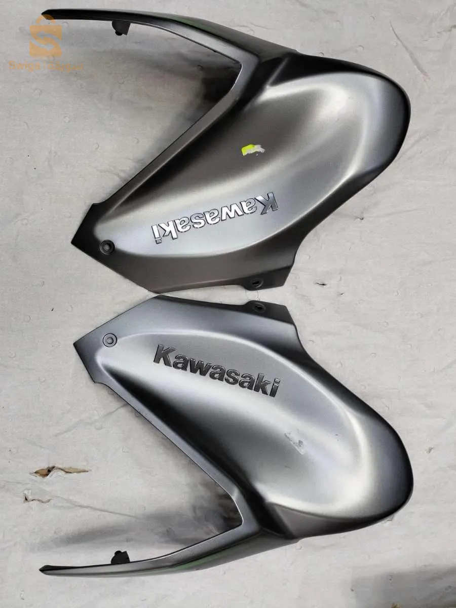 Çarinage Kawasaki Z900