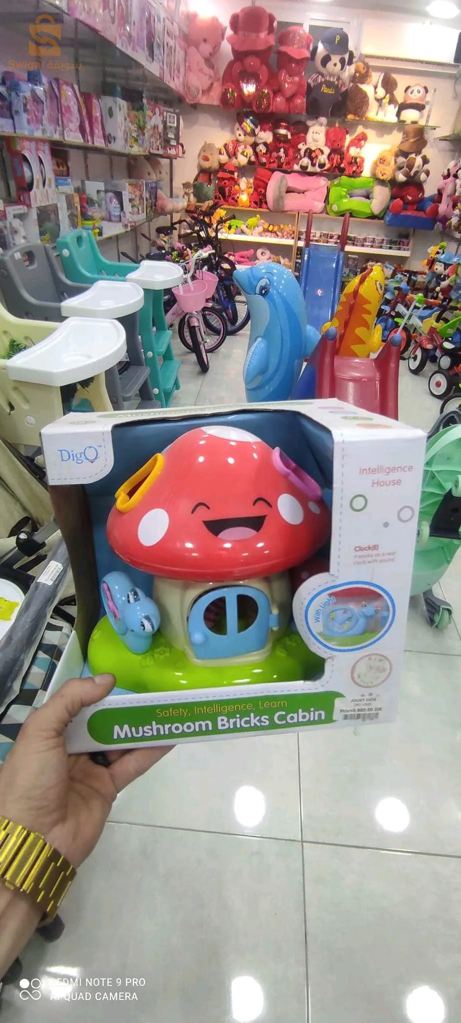 كابينة طوب الفطر