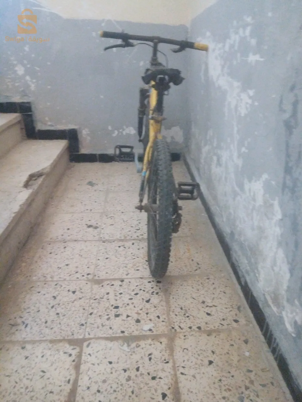 ولاية وهران  بلدية واد تليلات