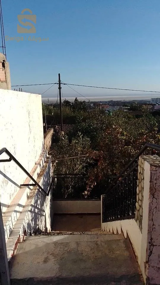 شارع رحو ميلود