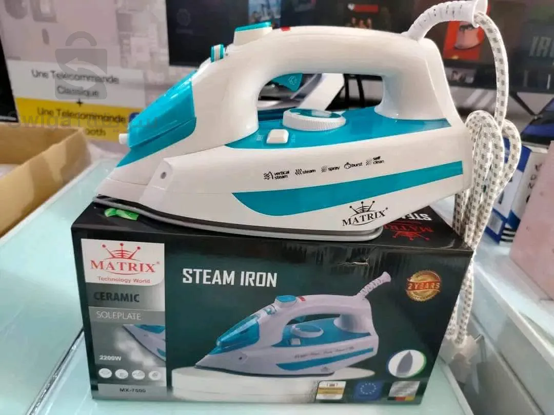 Electric iron