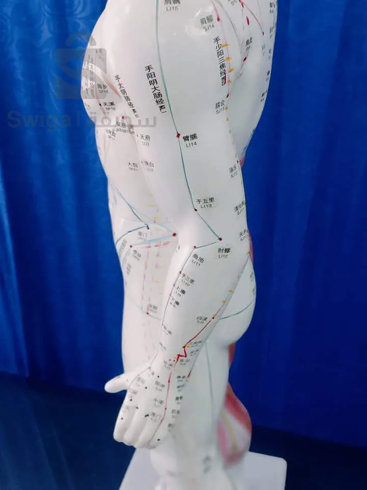 typical architecture