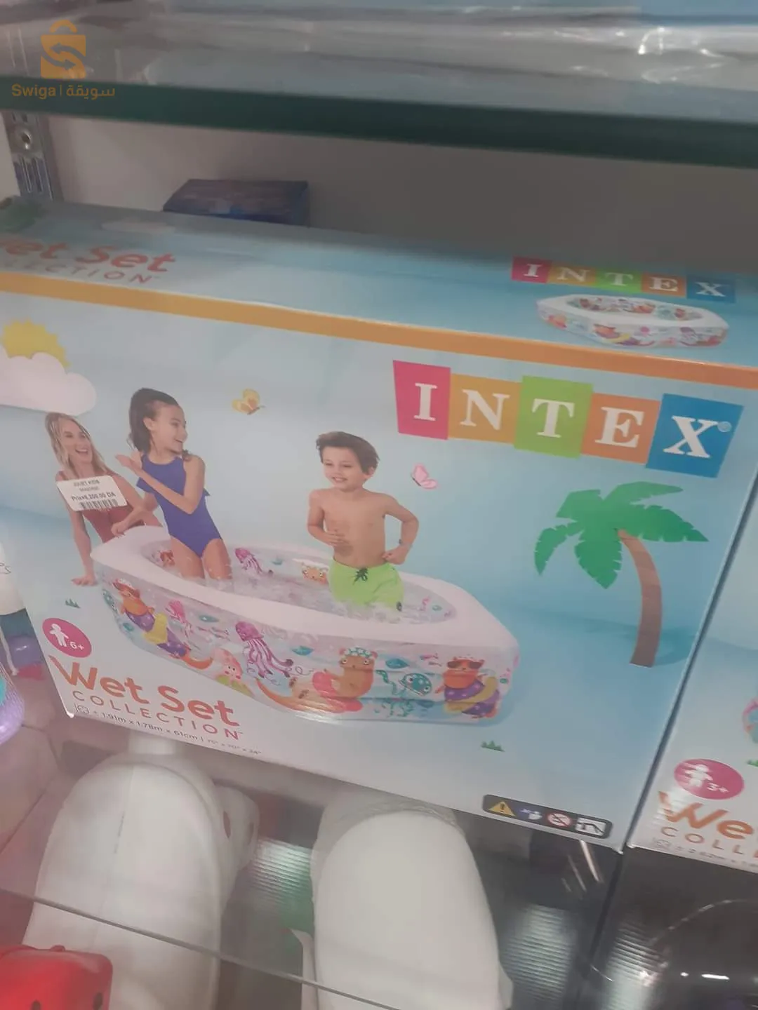 piscine familiale de poissons