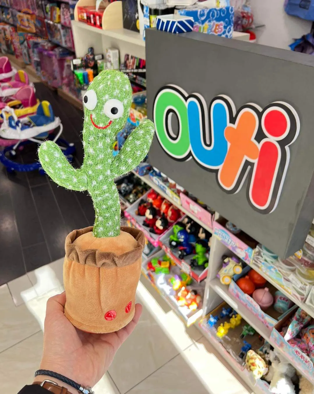 الصبار الراقص