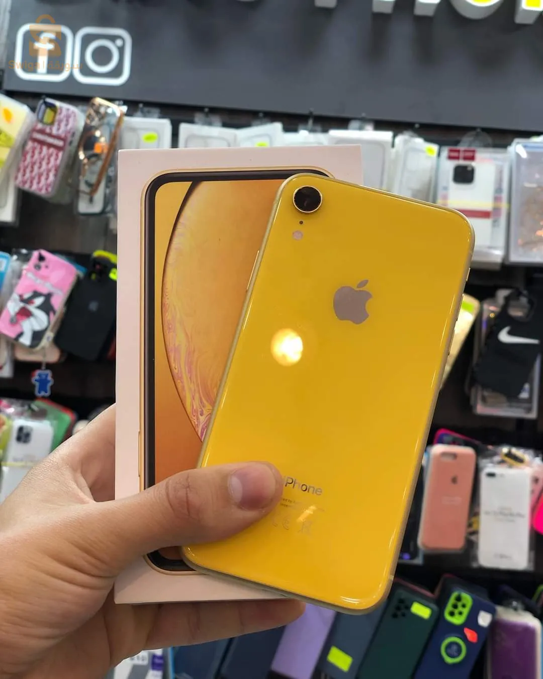 iPhone XR