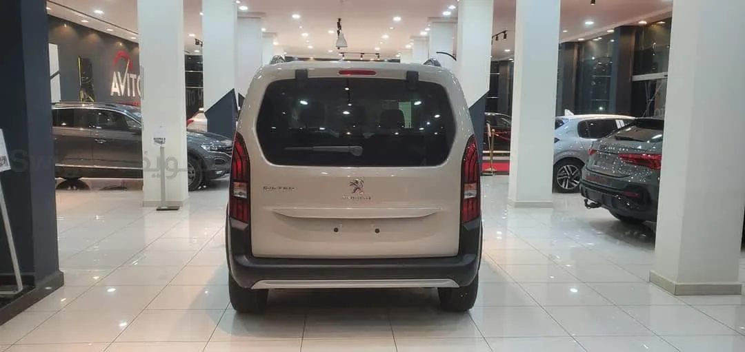 Peugeot Rifter 2022. Papiers Carte grise / safia