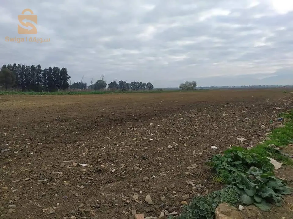 قطعة ارض  زراعية للبيع