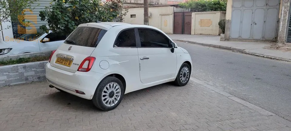 fiat 500 club