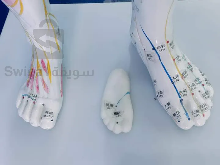بنية نموذجية