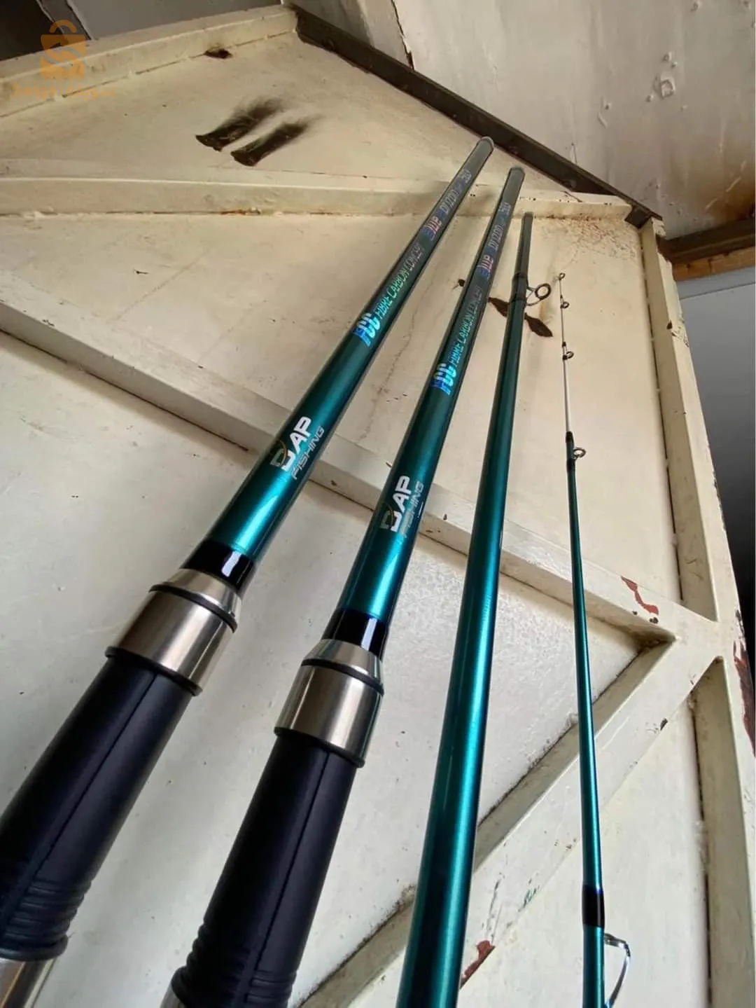 canne dap fishing 4.20