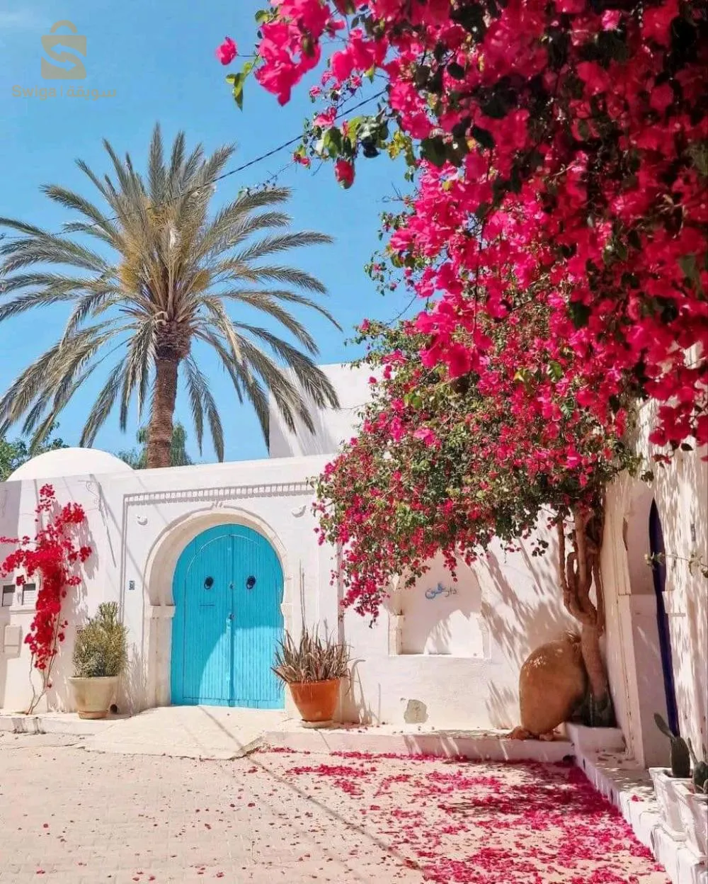 رحلة الى جربة تونس