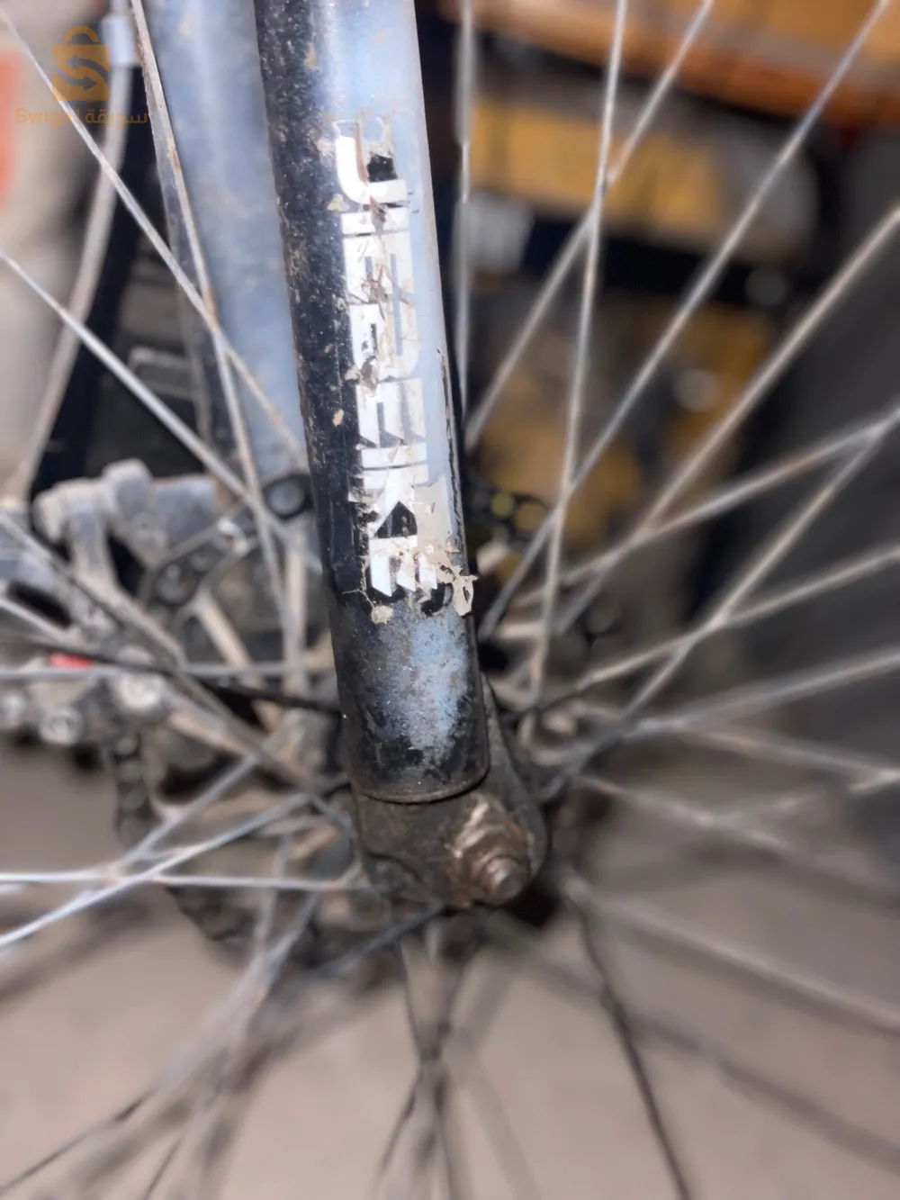 li instirisi y3aytli