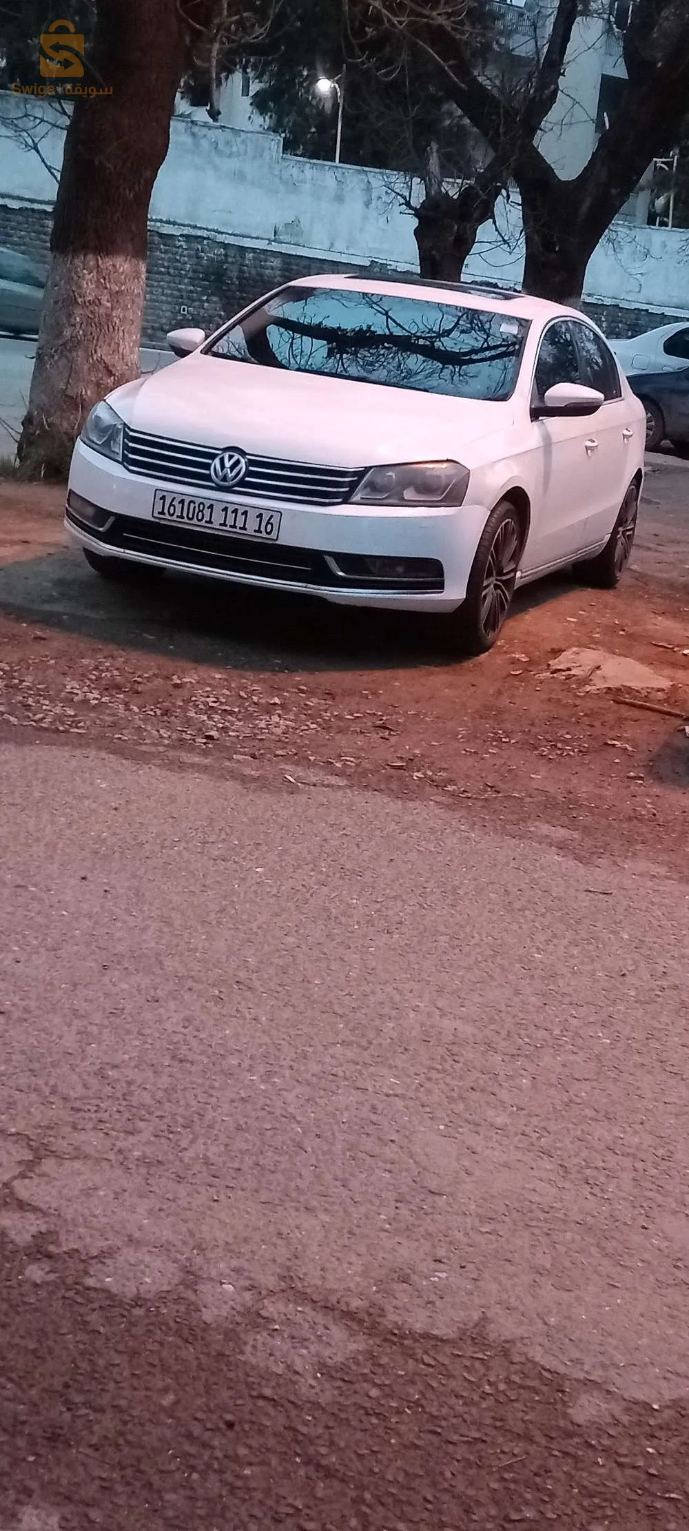 Passat R 2011