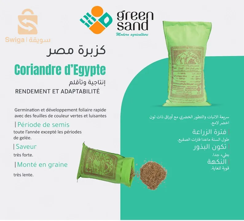 كسبرة أو كزبرة أو دبشة