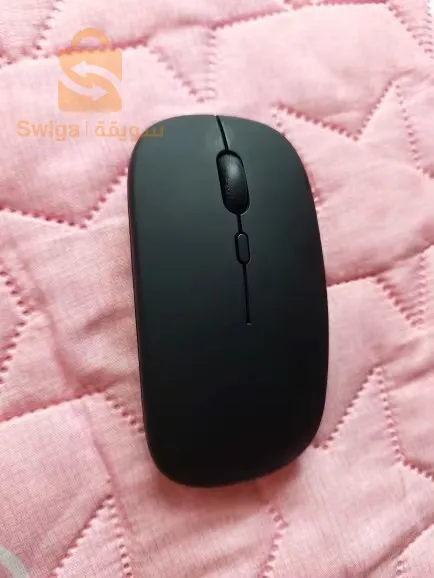 Souris sans fil Bluetooth