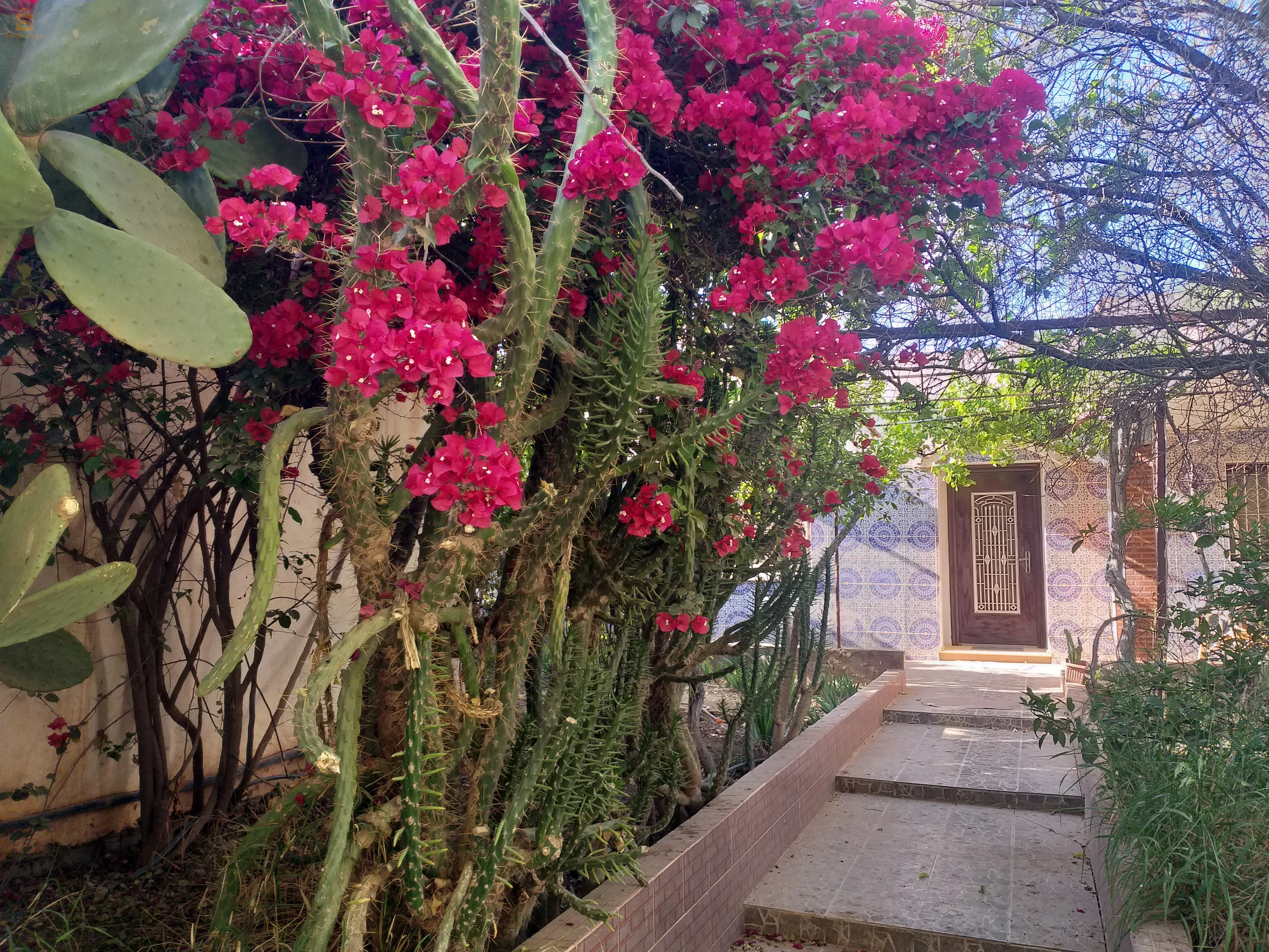 villa village americain