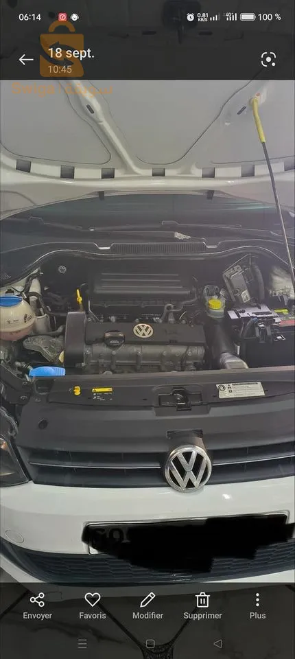 polo
