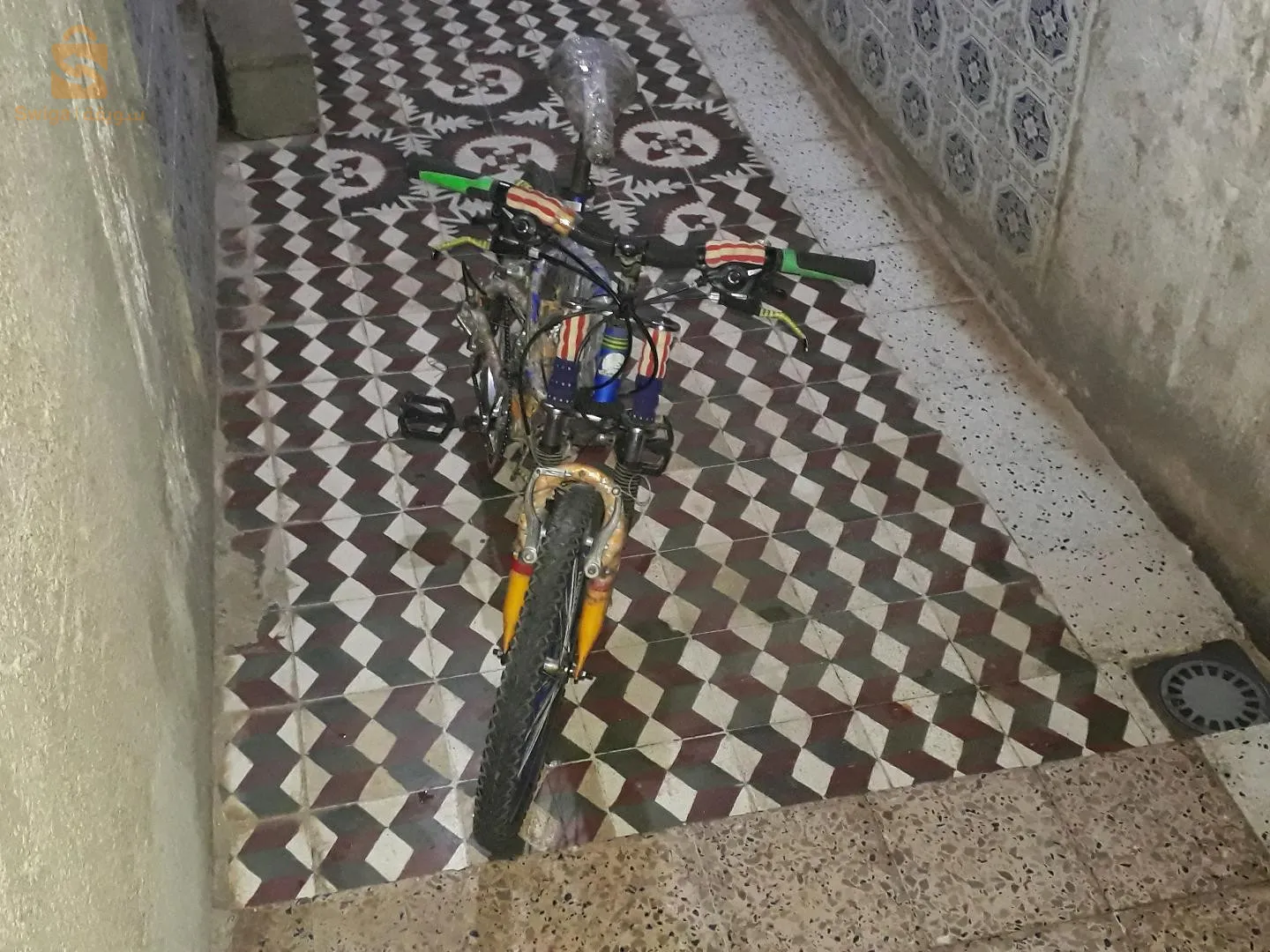 بيسكلا كلش فيها مارش