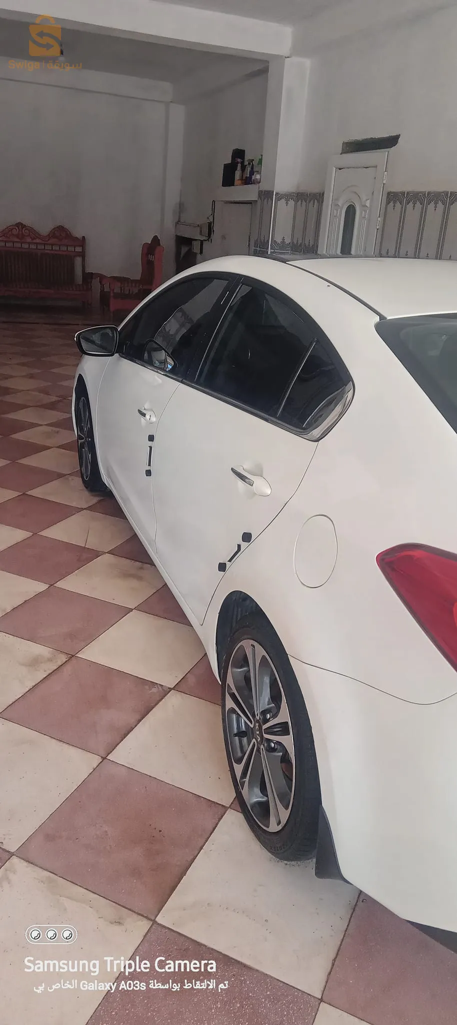 cerato