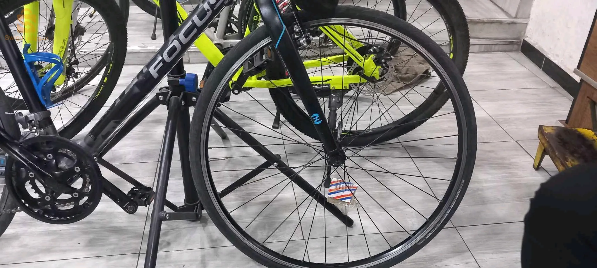 bicycle VTC focus