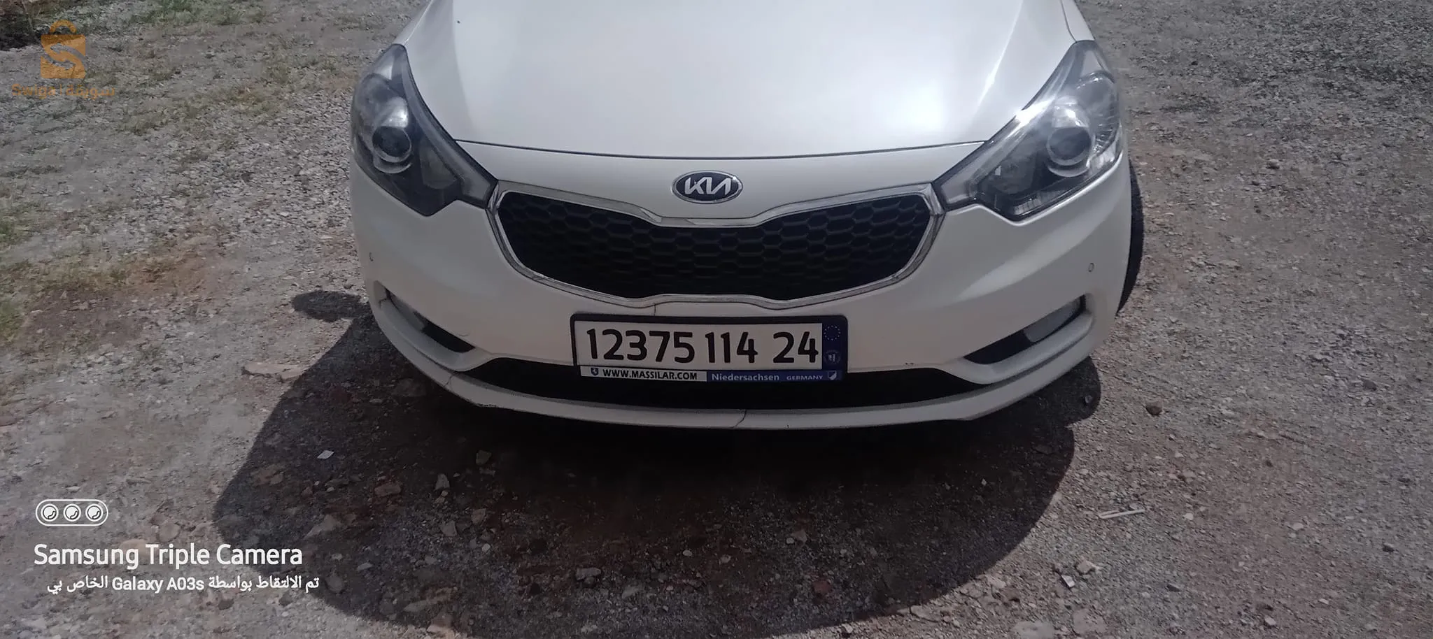 cerato