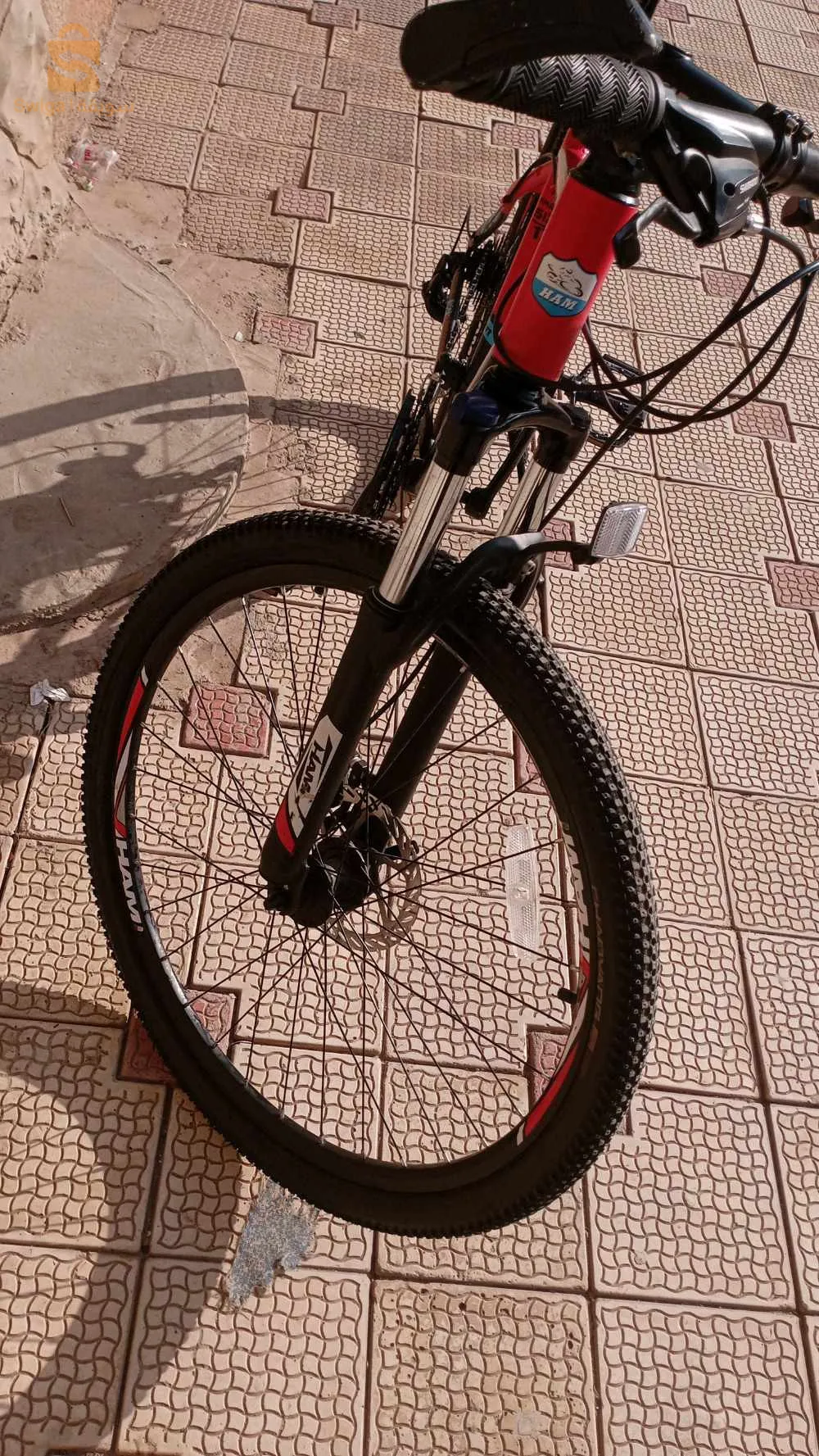 SIDI Bel Abbes rochi