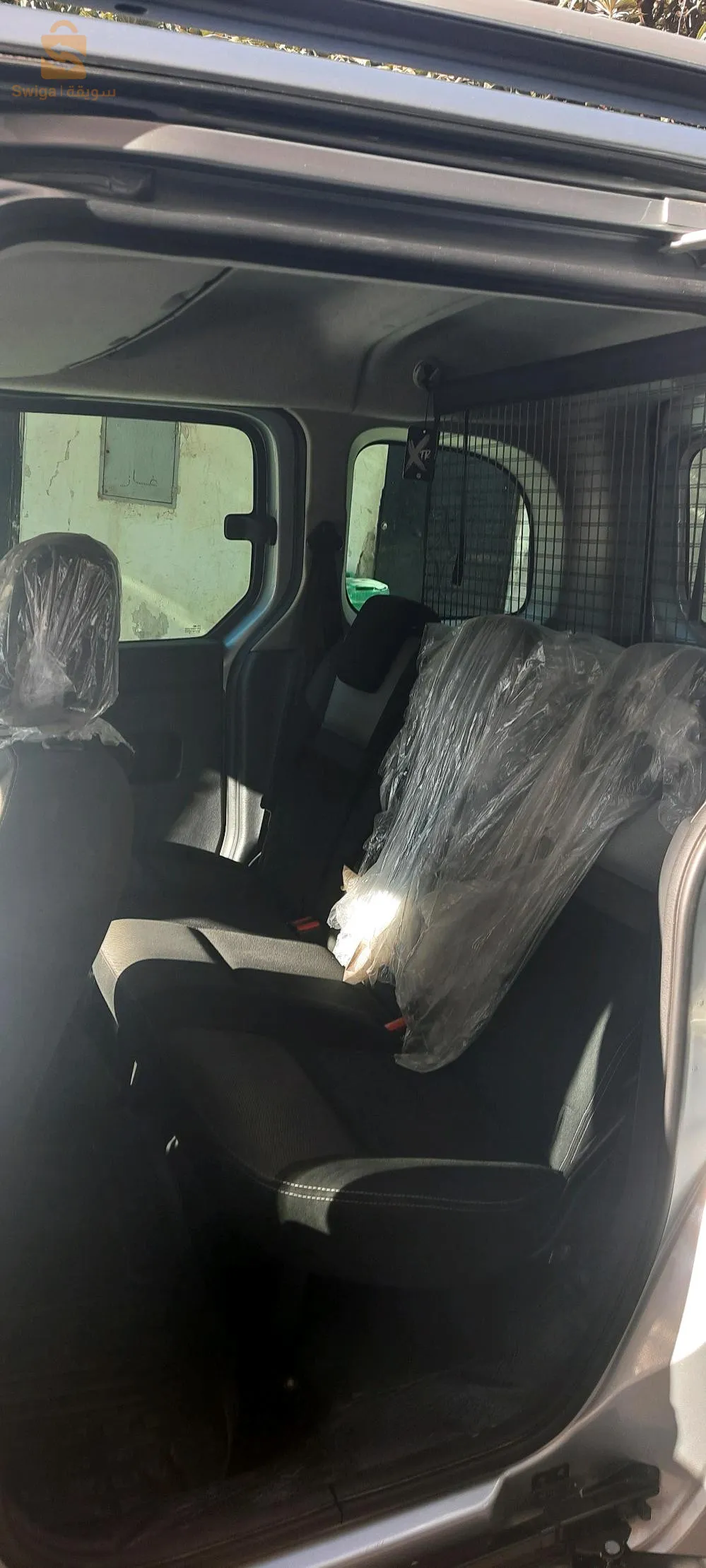 رغاية الجزائر