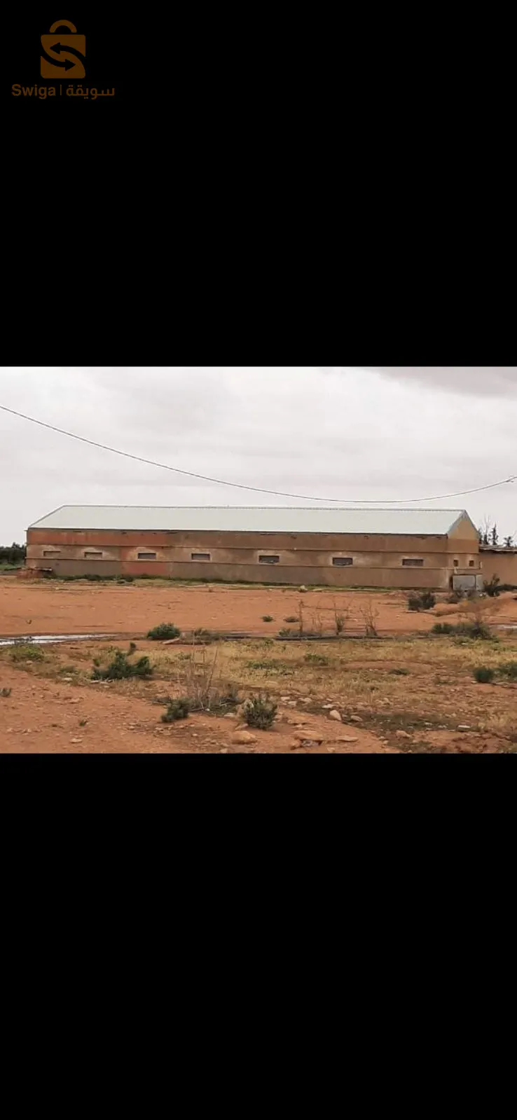 terre agricollte 85 hectare