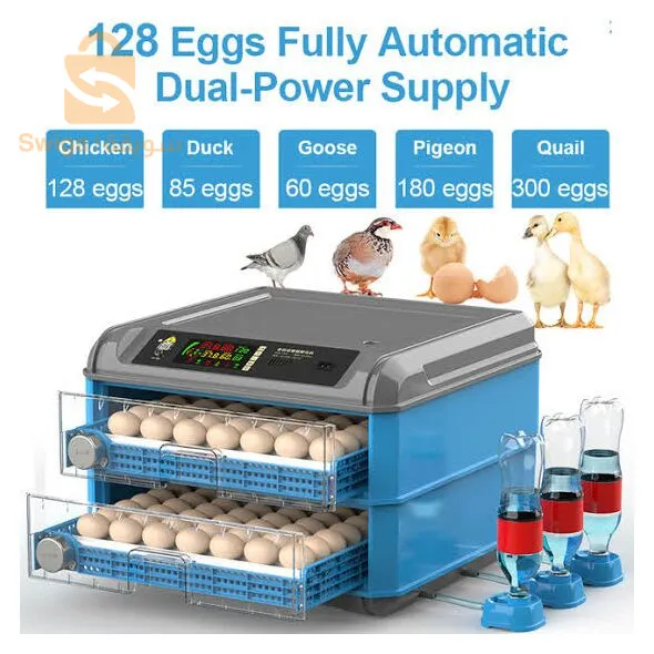 Incubateur de volaille