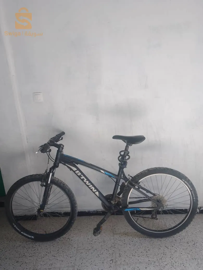 b-twin