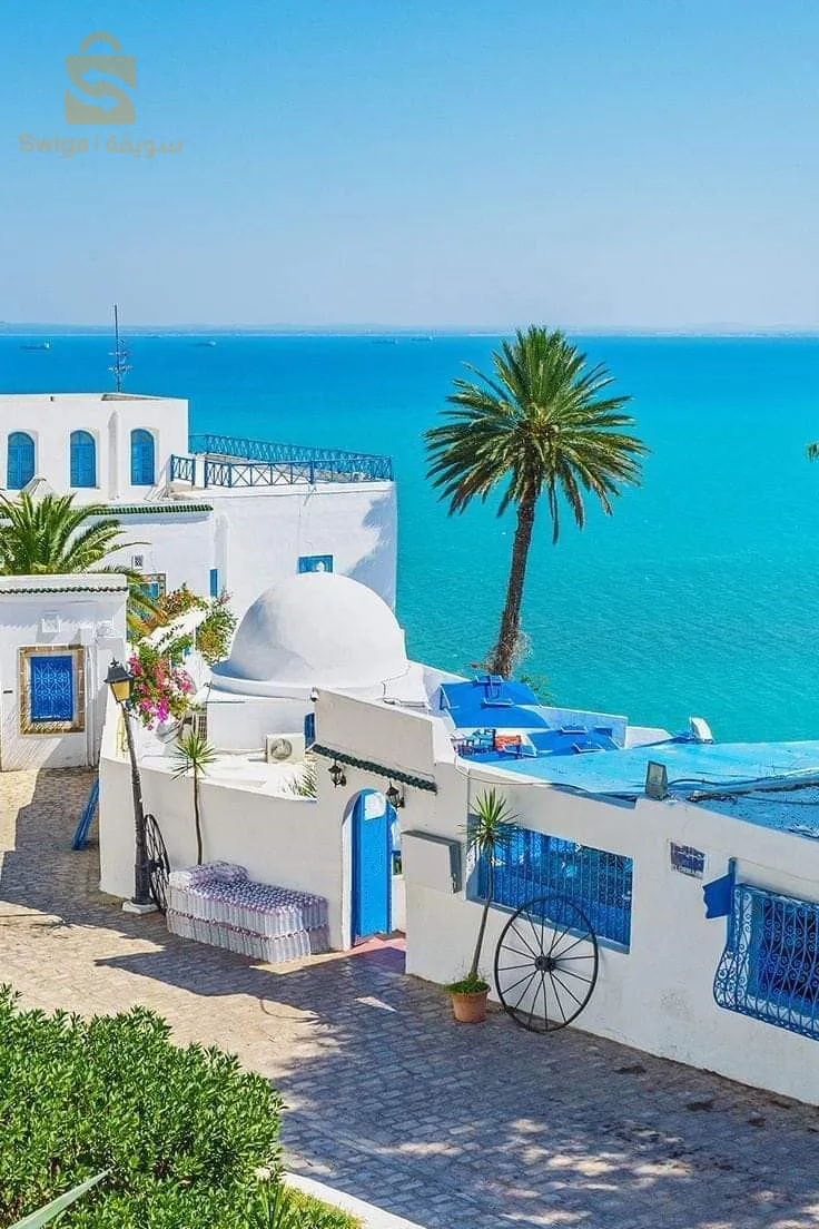 رحلة الى جربة تونس