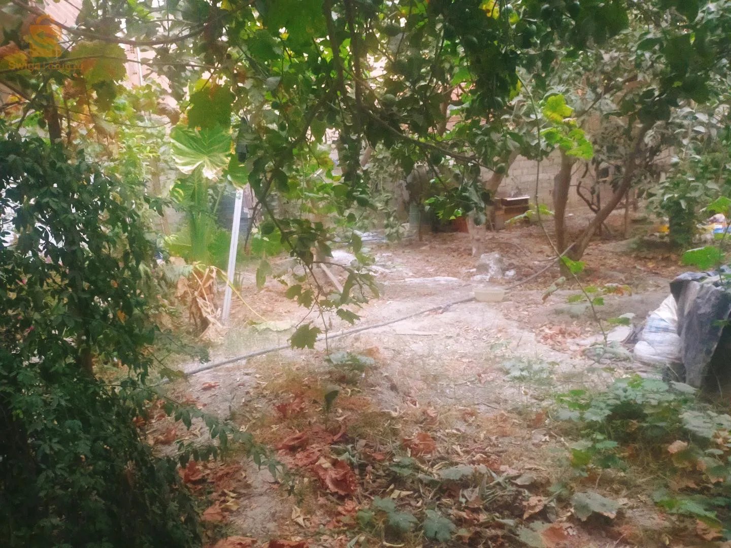 اولاد سلامة مركزية