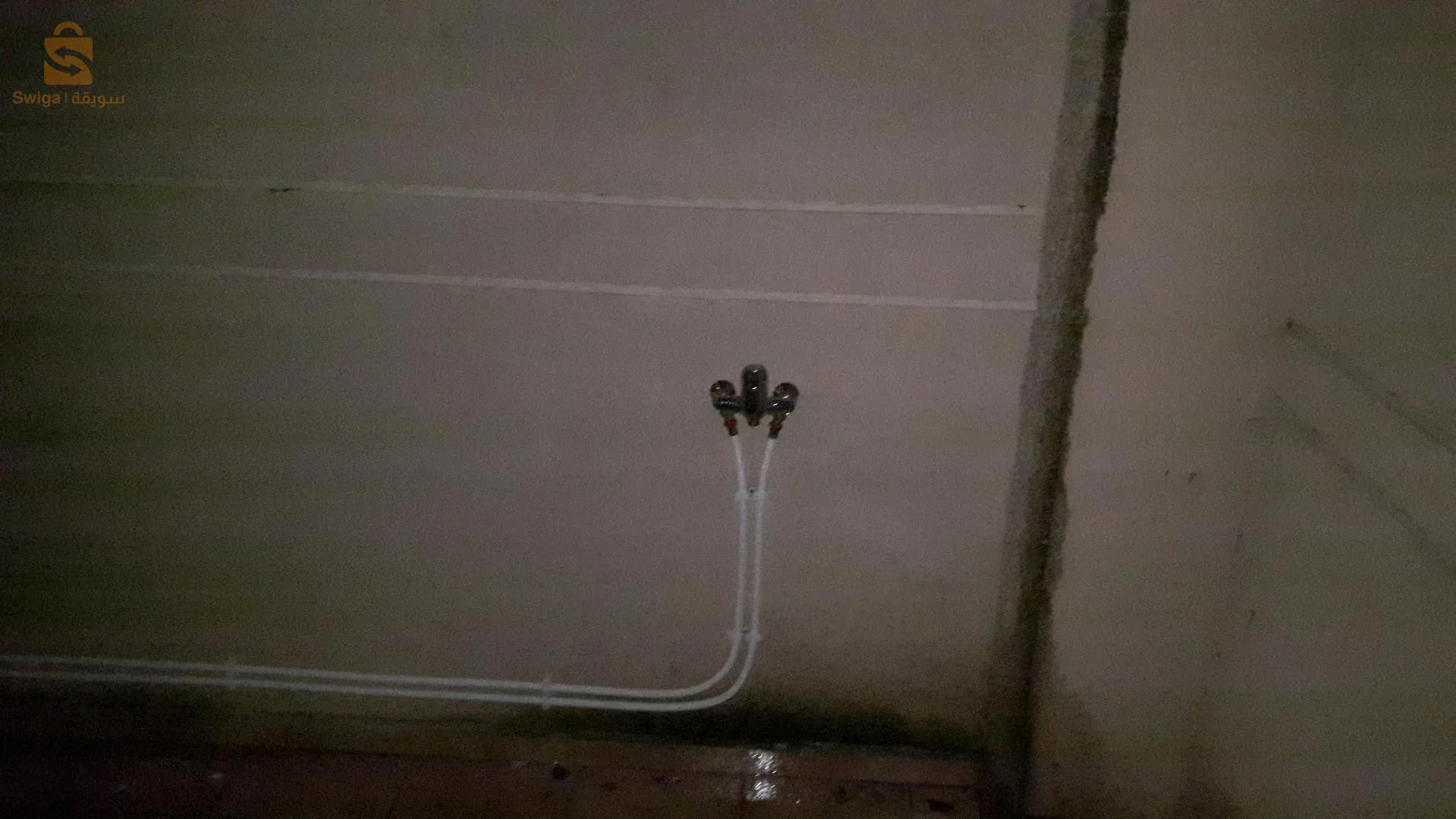 الجزائر