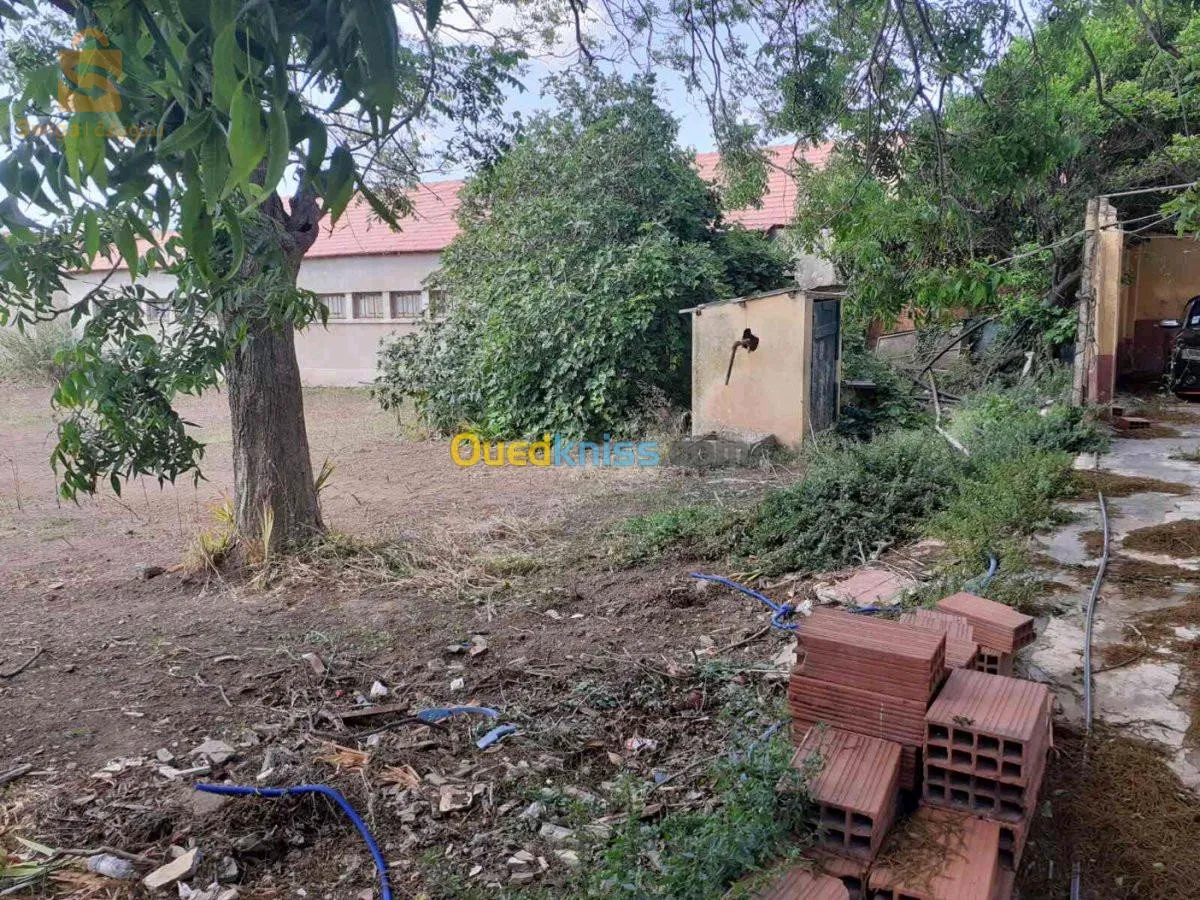 ارض للبيع عطاو 12 المليون للمتر مربع قابلة للتفاوض 11 مليون للمتر نبيع كلش ل 3010