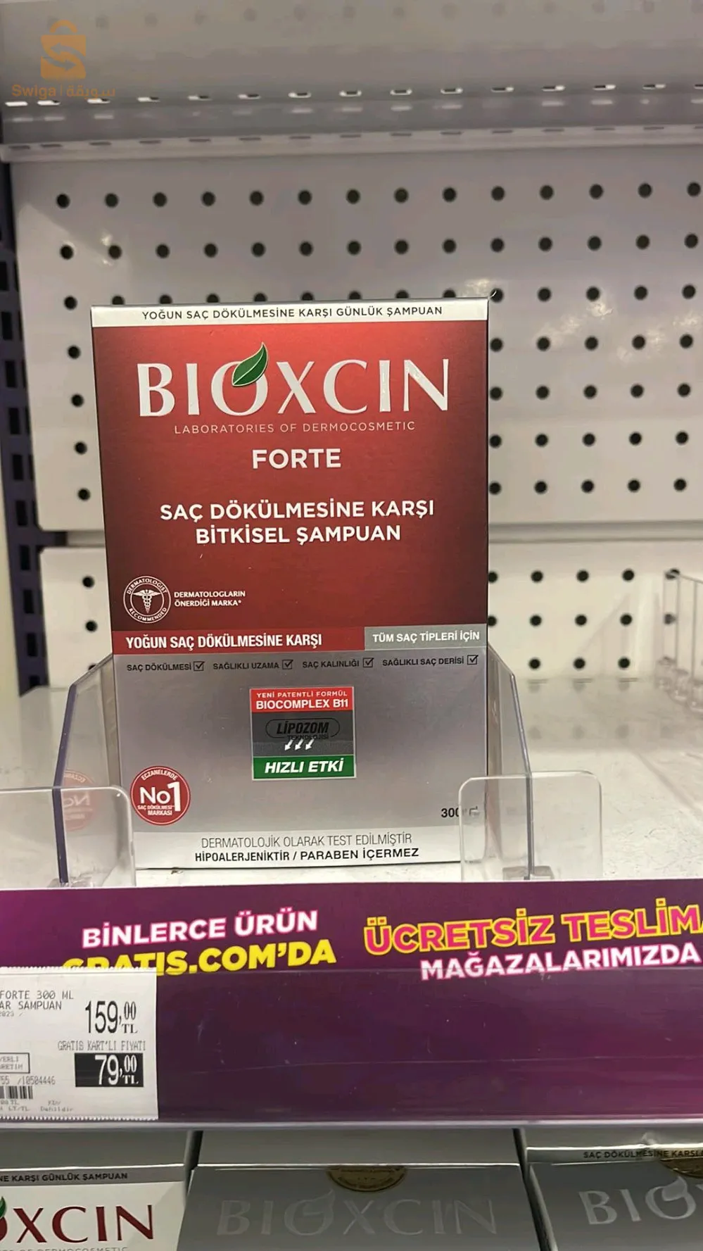 شاملو طبيعي