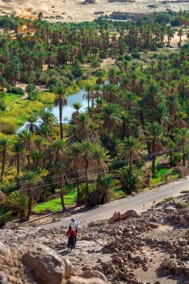 رحلات ابمولد النبوي الشريف الى تاغيت