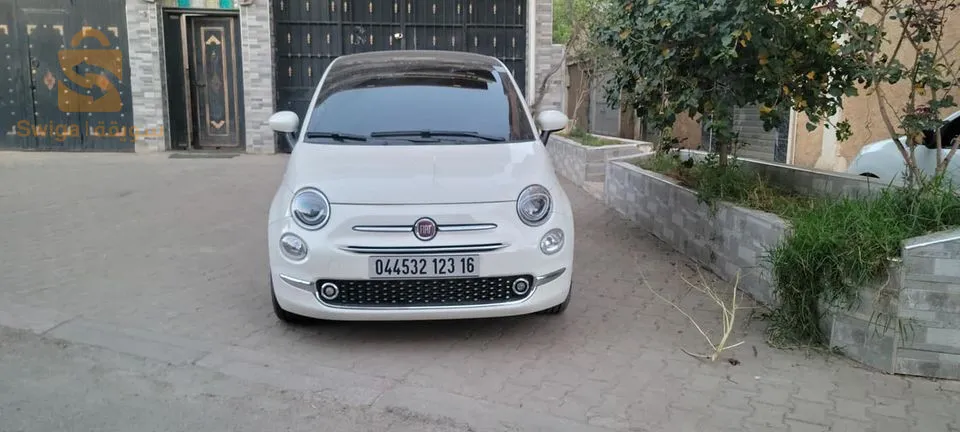 fiat 500 club
